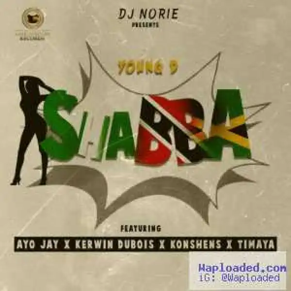 Young D - Shabba (ft. Timaya, Ayo Jay, Kerwin Dubois & Konshens)